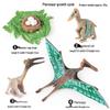 Montessori Cognitive Models: Sea Turtle, Hen, Frog, Snail, Butterfly, Bee Growth Cycle Toys