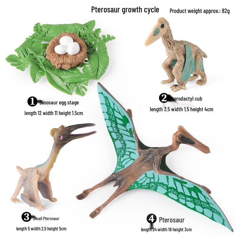 Montessori Cognitive Models: Sea Turtle, Hen, Frog, Snail, Butterfly, Bee Growth Cycle Toys