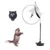 New Feather Long Pole And Steel Wire Cat Toy With Suction Cup, Designed To Boredom And Enhance The Comfort Of Cats