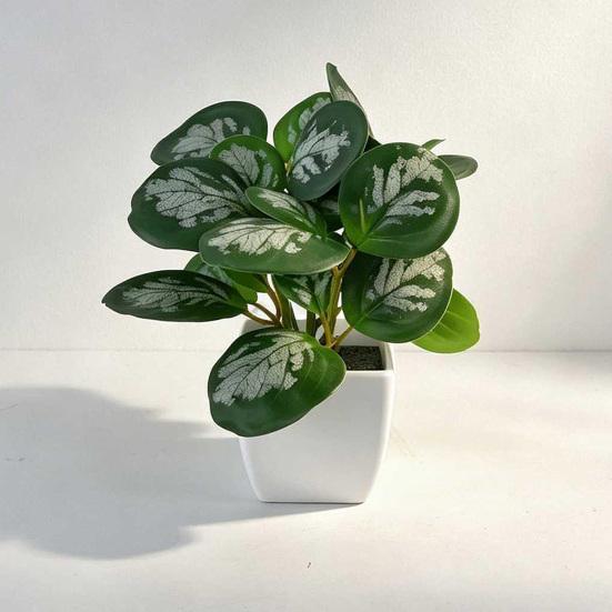 Desktop Ornament Home Decor Ring Plastic Green 1 Pc