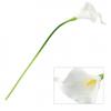 Photography Artificial flower Christmas Xmas Decoration 10pcs Indoor Outdoor
