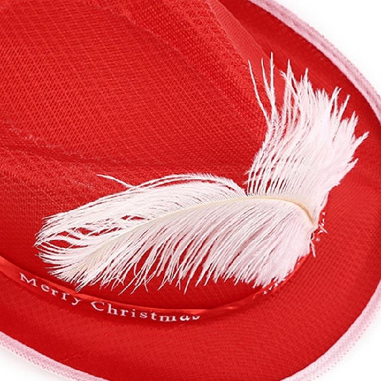 Unisex Cowboy Hat with Plume Decor Hat Christmas Felt Cowboy Jazz Children Hat