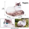 Mini Animal Model Set - Rooster, Duck, Goose, Pig, Rabbit, Dog, Horse, Sheep, Donkey, Cat, Alpaca Toys