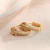 European and American Personalized Snake Design Earrings Retro Versatile Exquisite Trendy Earrings
