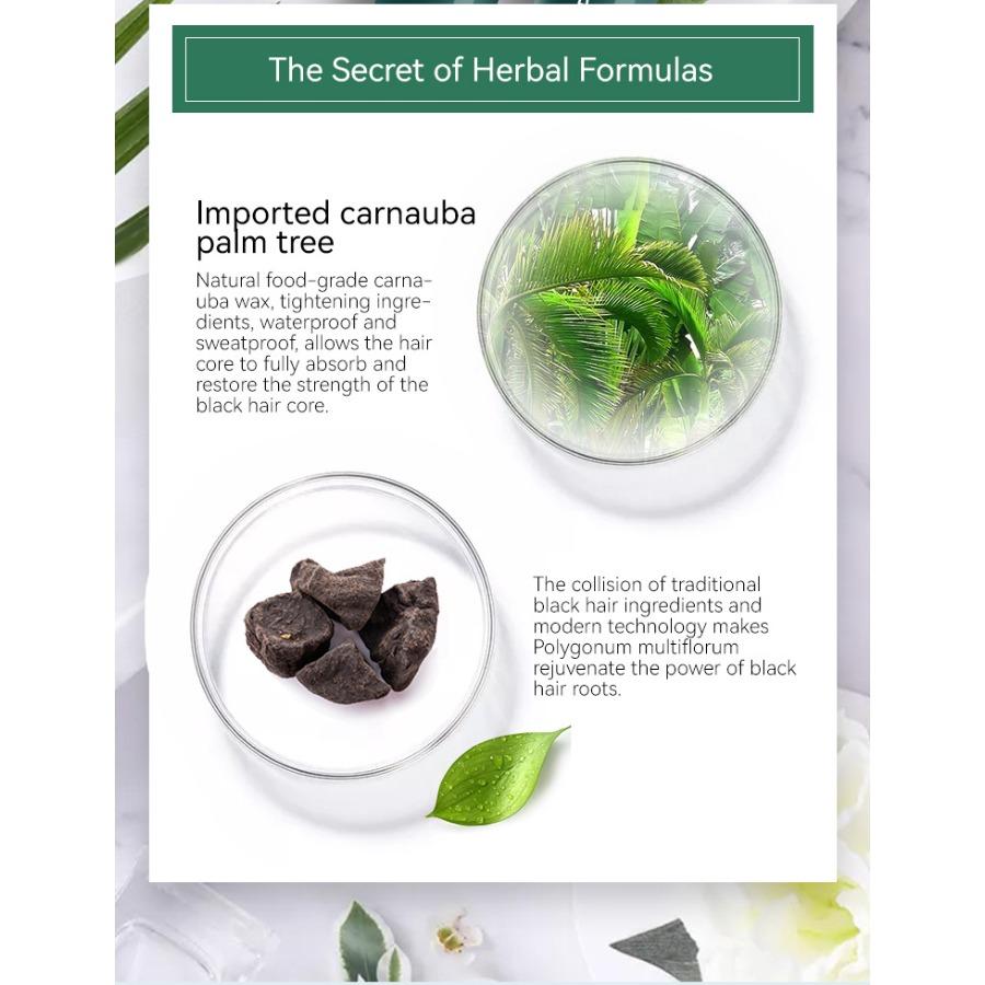 MLSMILE Disposable Hair Dye Stick One Comb Black and White Hair Cover Complementary Color Brush Temporary Hair Dye