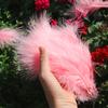 50Pcsdiy Color Feather Full Fleece Turkey Feather Clothing Antique Headdress Pet Toy Handicraft Decoration