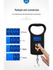 High-Precision Rechargeable 50kg Portable Handheld Electronic Scale