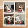 Chew Bite Catnip Toys Teeth Grinding Plush Toys Interactive Cat Toys  For Kittens