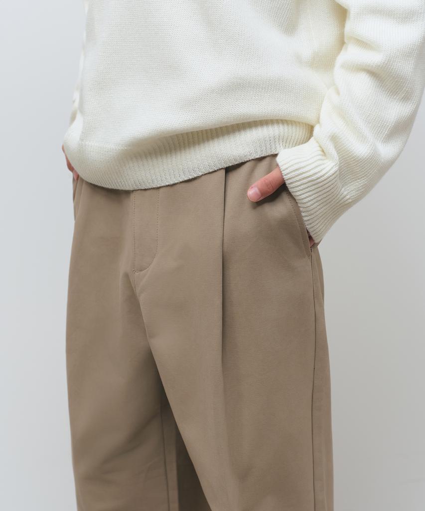 Musinsa Standard Brushed One-Pleat Wide Chino Pants [Beige]