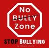 The No Bully Zone : Stop Bullying Book