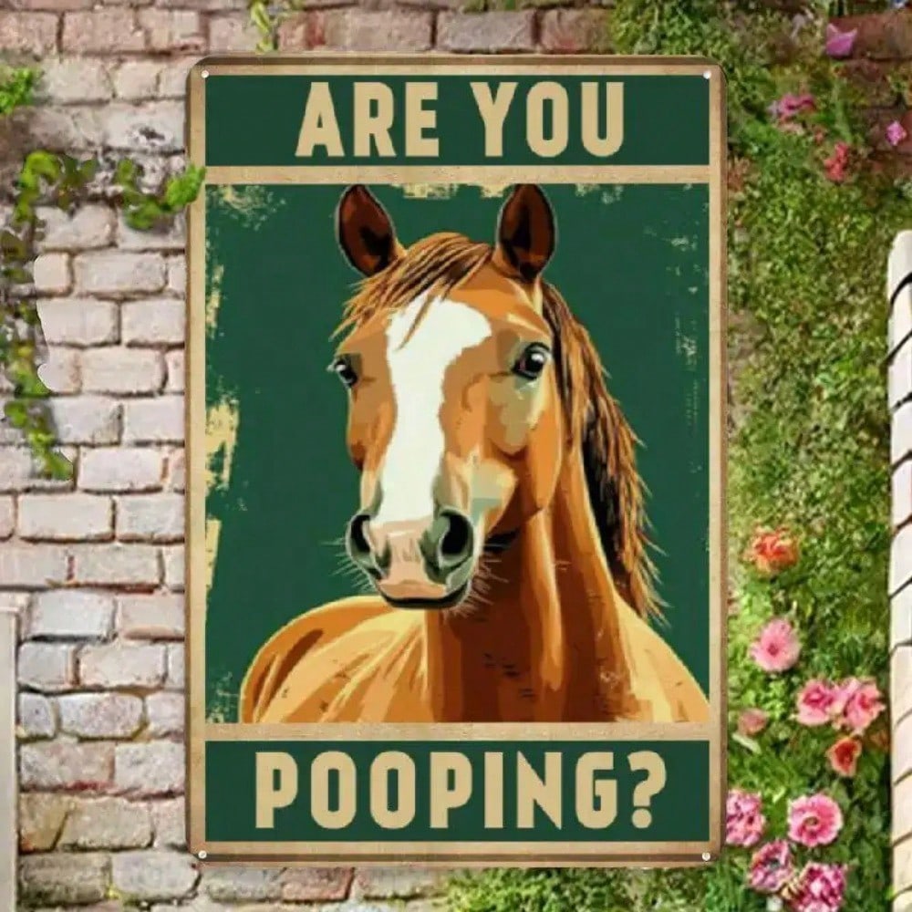 Retro Metal Paintings, Furniture, Living Room Decoration 20x30cm