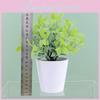Rehd Buxus Sinica Eucalyptus Robusta Potted Plant Indoor Decor Home For