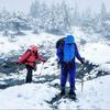 Ultralight Aluminum Telescopic Hiking Trekking Pole