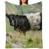 Belted Galloway Cow Throw Blanket Fashion Sofas Soft Big Extra Large Throw Decorative Blankets