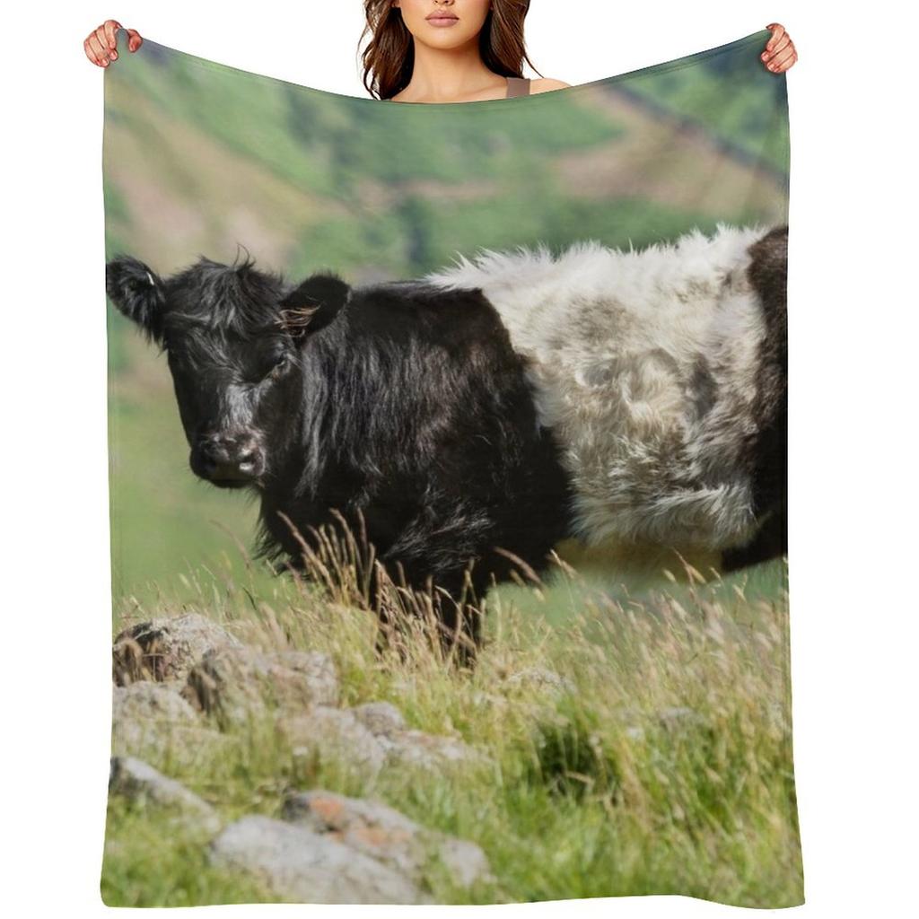 Belted Galloway Cow Throw Blanket Fashion Sofas Soft Big Extra Large Throw Decorative Blankets