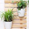Resin Self Watering Hanging Planter Flower Pot Plant Pot Basket