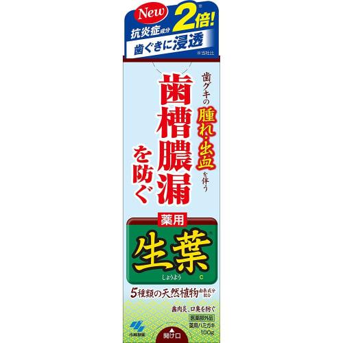 Fresh Leaf (Shoyo) Medicated Toothpaste to Prevent Periodontal Disease, Herb Mint Flavor, 100g x 4 packs