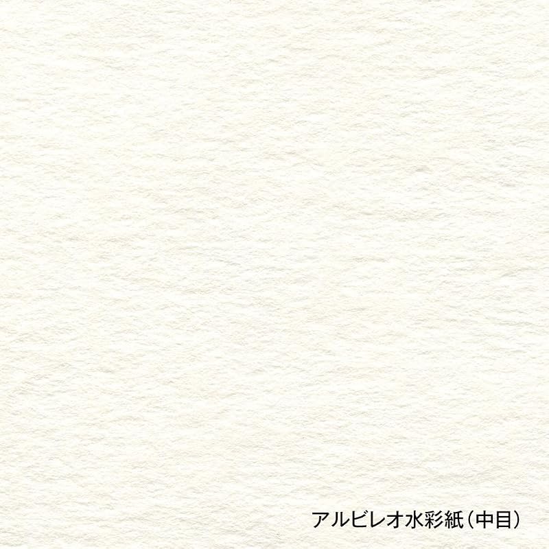 Holbein Albireo Watercolor Paper AB-B5 Medium Grain 218g B5 Size Block Type 24 Sheets 270233