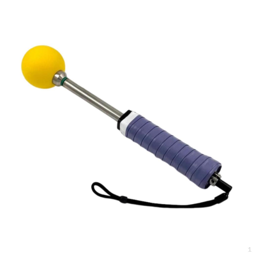 Pickleball Swing Aid Strength Training Posture Correction with Ball Lightweight Practice Power