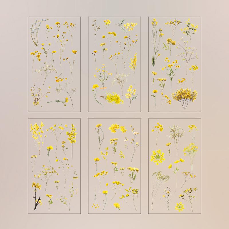 12 Blatt 2 Packungen Transparente PET-Aufkleber Scrapbooking-Materialien DIY Journal Collage Floral Blätter Pflanzen Deko-Aufkleber