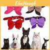 Stylowa Obroża dla Zwierząt w Kształcie Muszki W Żywych Kolorach Dla Kotów i Psów z Regulowanym Rozmiarem