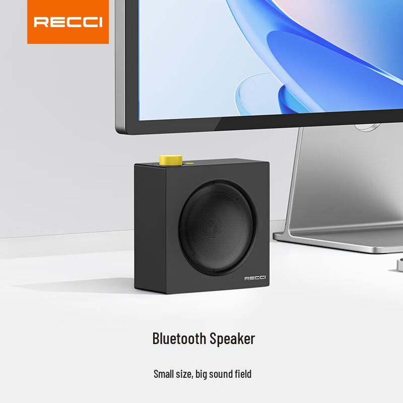 Recci RKS-W46 Outdoor Bluetooth Speaker CN plug (adapter included)