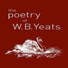The Poetry of W. B. Yeats by W. B. Yeats Paperback Book 9781788287760