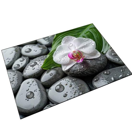 

Килимок для підлоги Нековзкий Килимок для ванної кімнати з шорсткою поверхнею Гумова основа з крапками М який на дотик Діатомова глина Швидкосохнучий Отвори для дренажу Килимок для ванної кімнати W