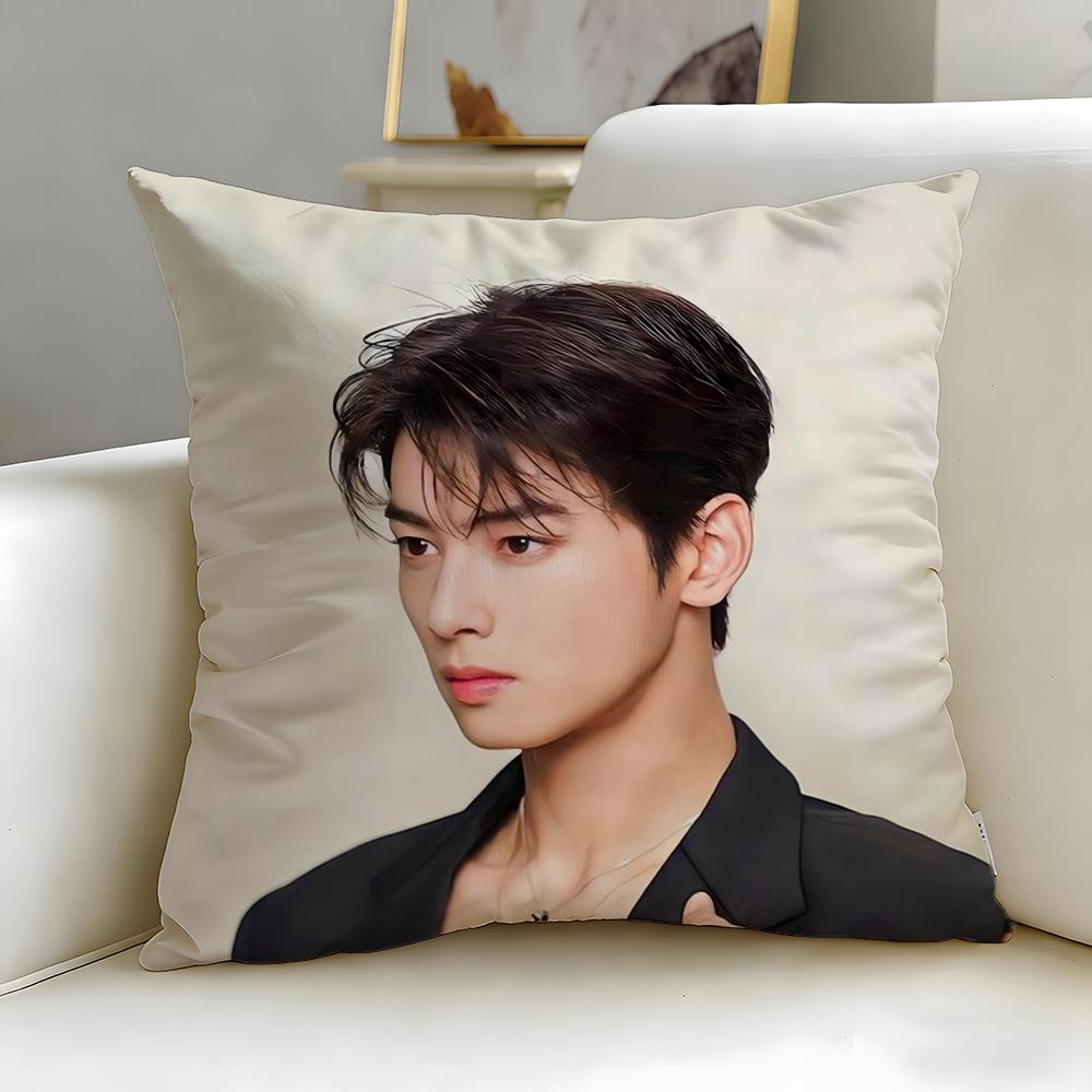 popular actor Cha Eun Woo Cushion Cover Soft  EasyWash Pillow Case  Versatile for Couch Bed Travel and Office
