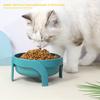 Raised Cat Food Bowl Large Capacity Pet Water Bowl Colorful Dog Bowls  for Puppy Cat
