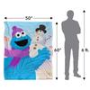 Sesame Street Snowman Cookie Monster Blanket