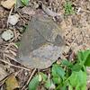 Yousheng Garden Fake Stone Key Hider Storage Box Outdoor Yard Lawn Simulated Rock Resin Statue Decoration House Spare Key Secret Holder Container