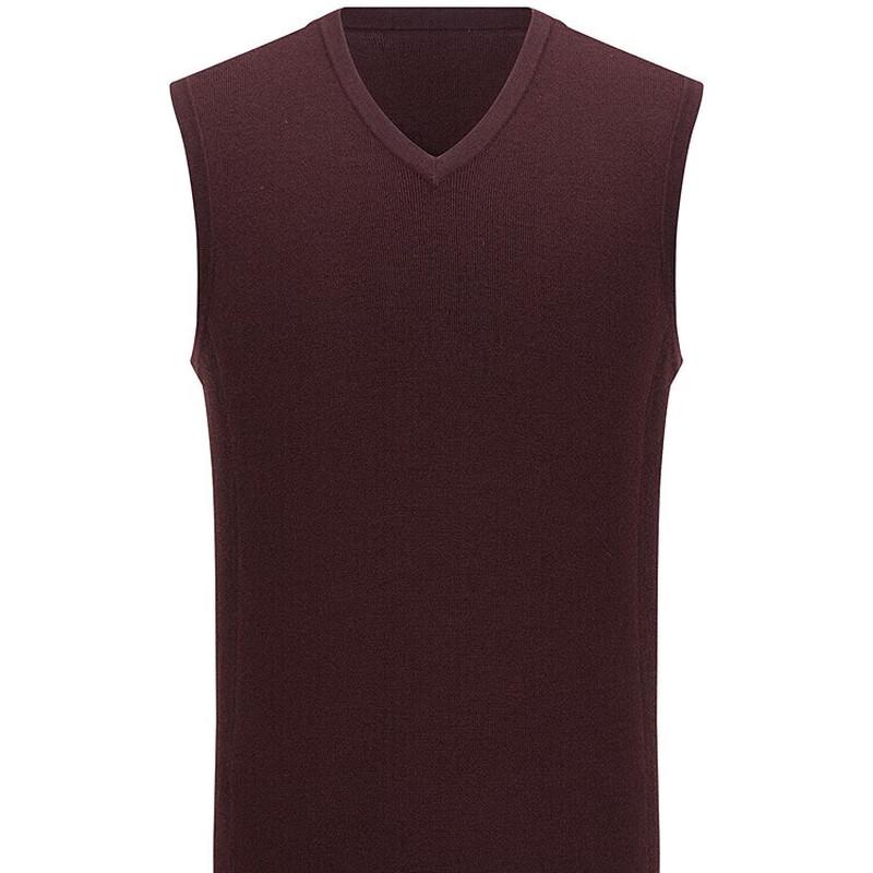 Youngor Men's Wool Blend V-Neck Vest