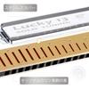 East Top Lucky13 (Solo-C) 13-Hole Blues Harmonica in C, for Jazz Professionals, Adults, and Children, Perfect for Study and Practice, with Brass Cover