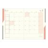 Midori Double Schedule Planner, 2026, B6, Monthly, Limited Edition, Bookmark Included, To Do, Orange, 22387006 (Starts October 2025)