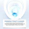 Toilet Cleaner Toilet Cleaner Stubborn Scale Deodorant Foam Cleaning Powder.100g