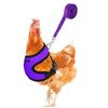 Pet Adjustable Harness Leash for Chicken Puppy Comfortable Breathable Pet Vest for Small Dogs Duck Goose Training Accessories