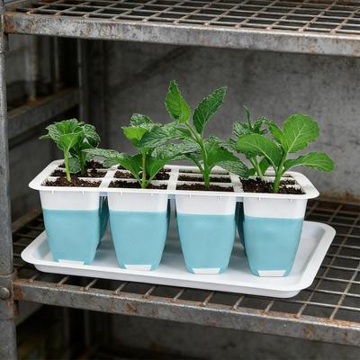 12-cell Seedling Starter Tray Reusable Plant Germination Kit For Greenhouse And Garden Nursery Pots Accessories