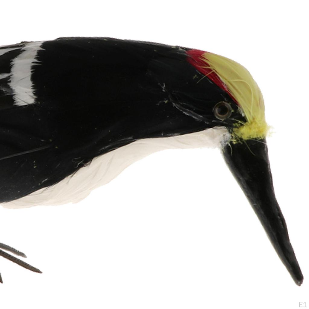 Simulation Model Animal Realistic Cute Art Decor Bird Figurine Feathered for Yard