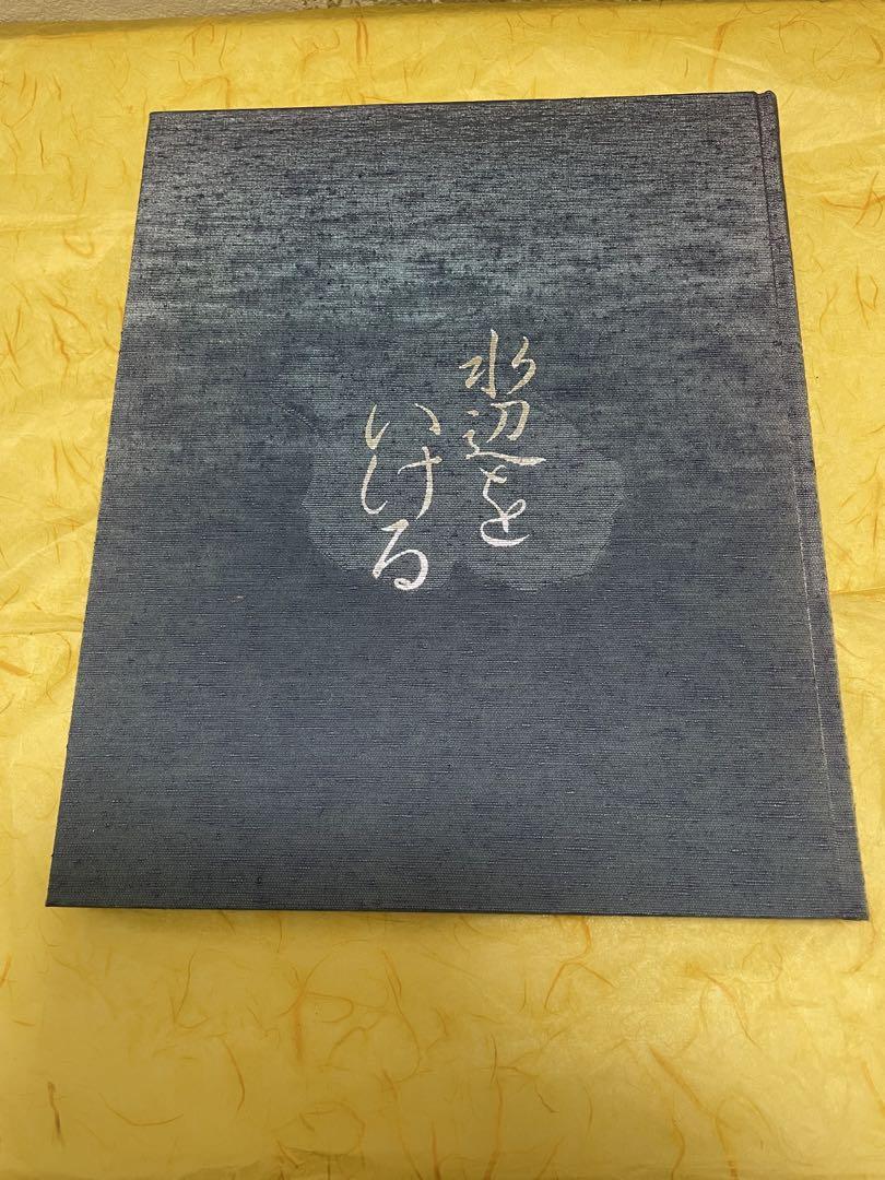 

[Б/У] Аранжировка Водных Пейзажей Коллекция Водных Сооружений на Основе Природы Школа Охара Школа Охара Редакция Аранжировка Цветов Свежие Цветы Икебана