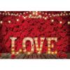 Red Rose&Heart Backdrops for Wedding Valentine's Day Birthday Party Background
