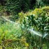 Adjustable Nozzle Rotating Sprinkler 360° Rotation Garden Spray Nozzle  for Vegetable Field Orchard