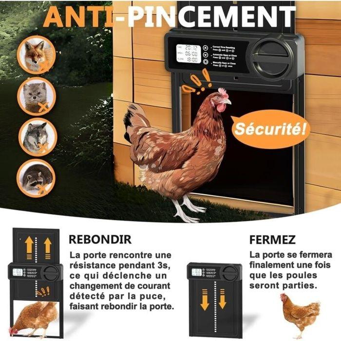 Porte automatique pour poulailler en alliage d'aluminium - minuterie LCD, capteur anti-pincement, 3×AA