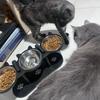 Elevated Triple Cat Bowl Raised Pet Feeder 3 Stainless Steel Bowls Food Water Dish for Cats Small Dogs Feeding Supplies