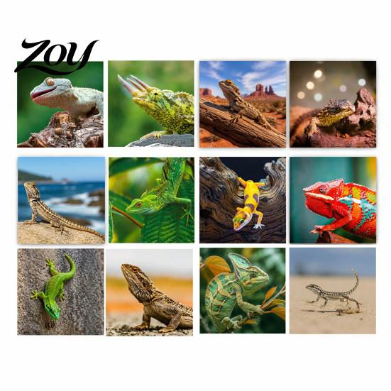 Lizard Collector Items 2025 Wall Calendar 12 Month Hanging Monthly Planner with Thick Schedule Organizer Matte Paper and Double Coil Binding for Home