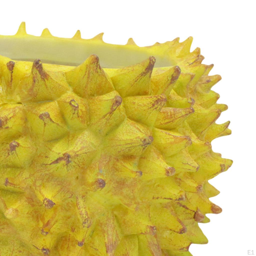 Durian Blumentopf Pflanzgefäß für Zimmerpflanzen Moderne Wohndekoration Dekorative Pflanzenvase