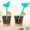 Self Watering Shape Watering Bulb Automatic Clear Plant Planter Insert Bird Irrigation Spikes for Indoor