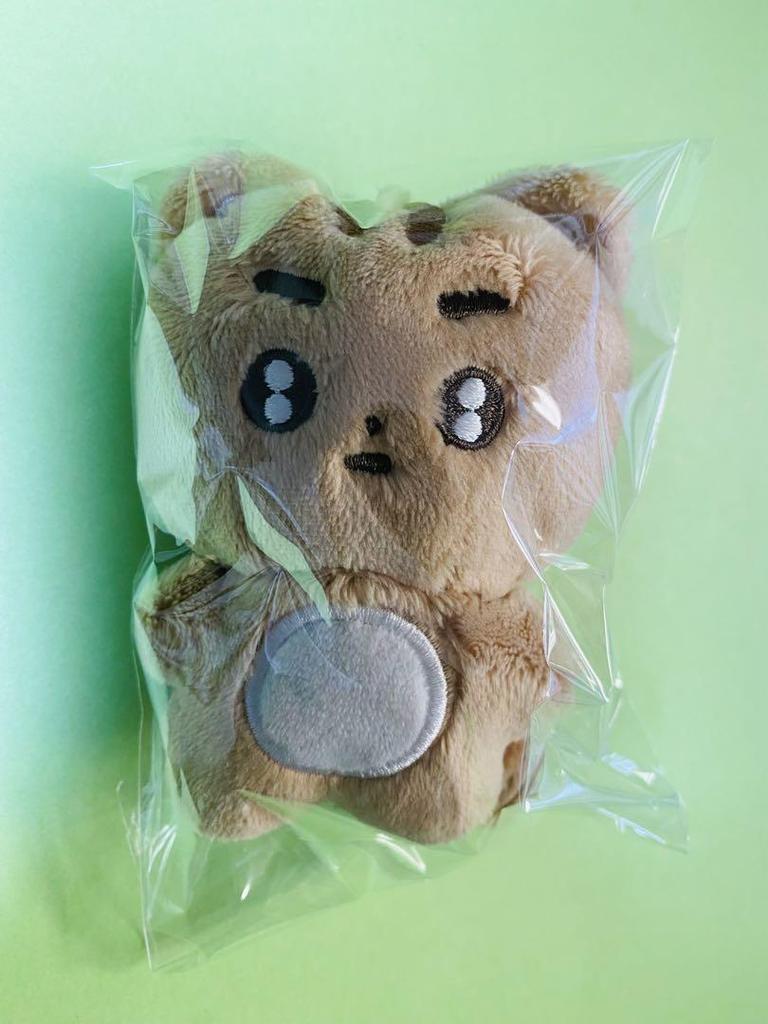 [USED] TXT Taehyung Masternim Plush Toy 10cm Povato Korea