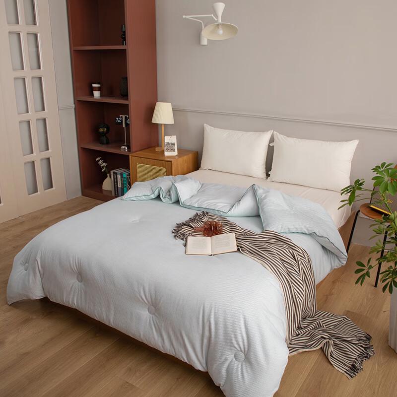 MUJI Cationic Heat-Retaining Winter Comforter