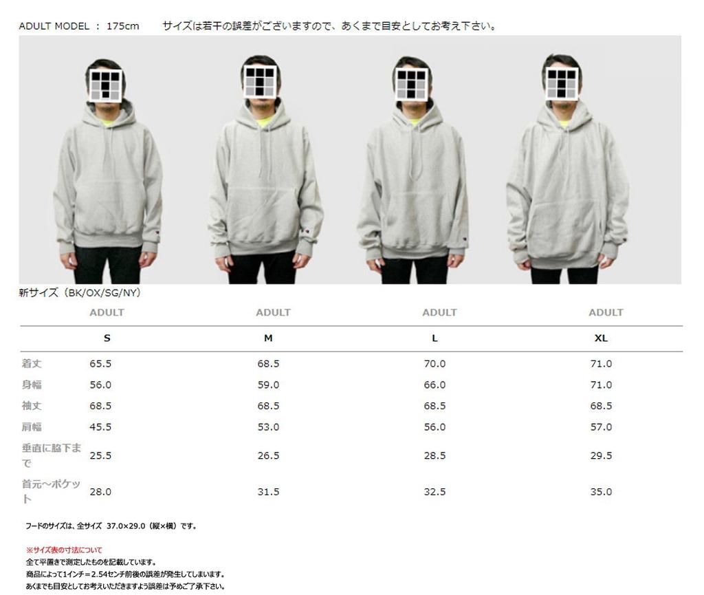 Champion Reverse Weave Pullover Hoodie Oxford Size L 12.0oz (Fleece Lined) [Men's] [Used] Gray,
